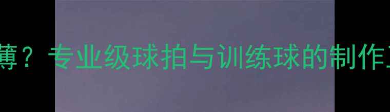 图片 羽毛球羽毛有多薄？专业级球拍与训练球的制作工艺与性能差异1