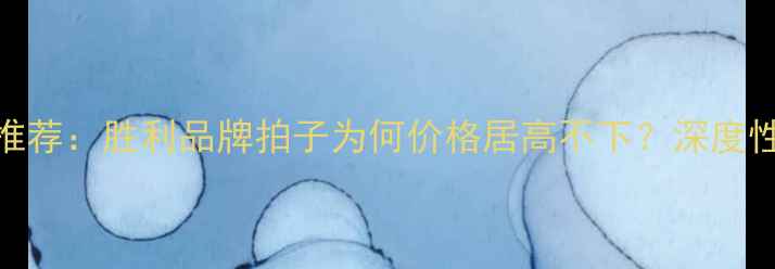 图片 羽毛球装备十大推荐：胜利品牌拍子为何价格居高不下？深度性价比与选购指南