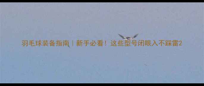 图片 羽毛球装备指南｜新手必看！这些型号闭眼入不踩雷2