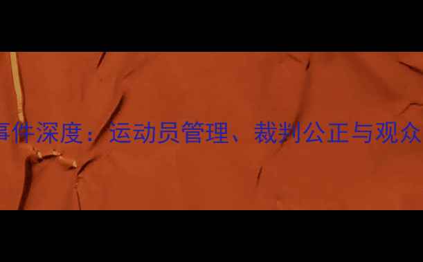 图片 羽毛球赛事争议事件深度：运动员管理、裁判公正与观众观赛礼仪全指南1