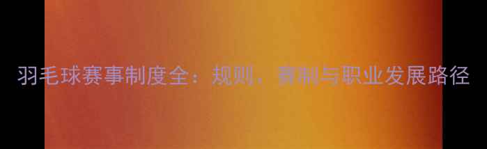 图片 羽毛球赛事制度全：规则、赛制与职业发展路径