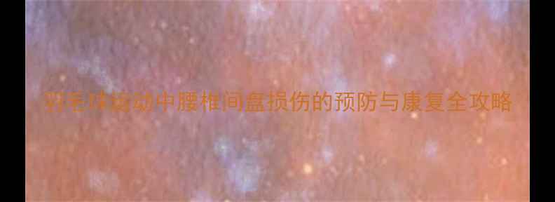 图片 羽毛球运动中腰椎间盘损伤的预防与康复全攻略