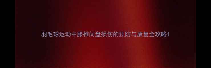 图片 羽毛球运动中腰椎间盘损伤的预防与康复全攻略1