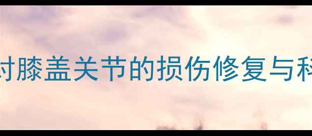 图片 羽毛球运动对膝盖关节的损伤修复与科学训练指南