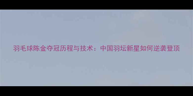 图片 羽毛球陈金夺冠历程与技术：中国羽坛新星如何逆袭登顶