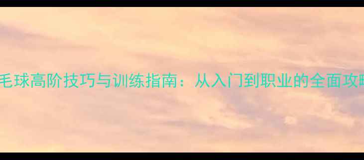 图片 羽毛球高阶技巧与训练指南：从入门到职业的全面攻略1