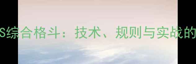 图片 职业拳击VS综合格斗：技术、规则与实战的终极碰撞1