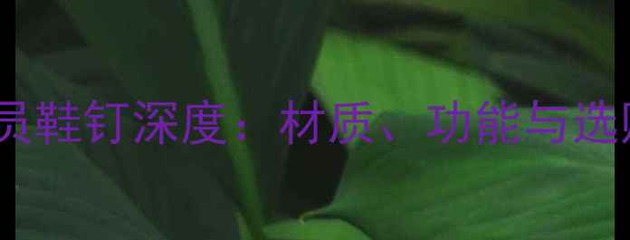 图片 职业球员鞋钉深度：材质、功能与选购指南2