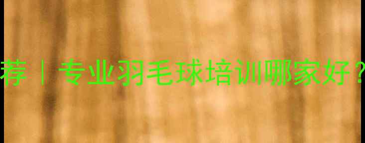 图片 苏州工业园区尖峰羽毛球馆推荐｜专业羽毛球培训哪家好？附青少年课程赛事交通指南1