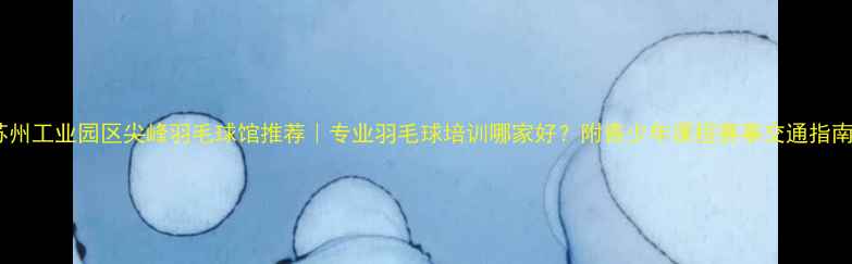 图片 苏州工业园区尖峰羽毛球馆推荐｜专业羽毛球培训哪家好？附青少年课程赛事交通指南2