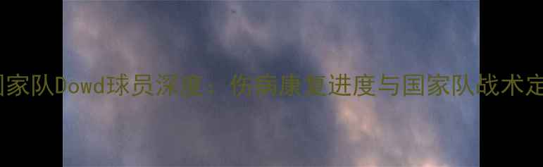 图片 英格兰国家队Dowd球员深度：伤病康复进度与国家队战术定位分析2