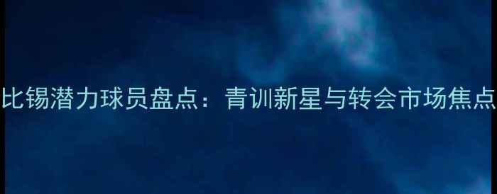 图片 莱比锡潜力球员盘点：青训新星与转会市场焦点全
