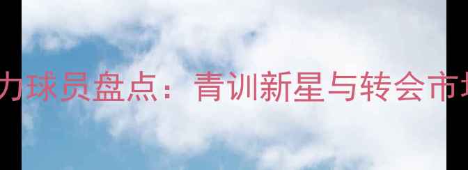 图片 莱比锡潜力球员盘点：青训新星与转会市场焦点全1