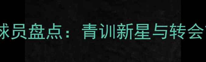 图片 莱比锡潜力球员盘点：青训新星与转会市场焦点全2