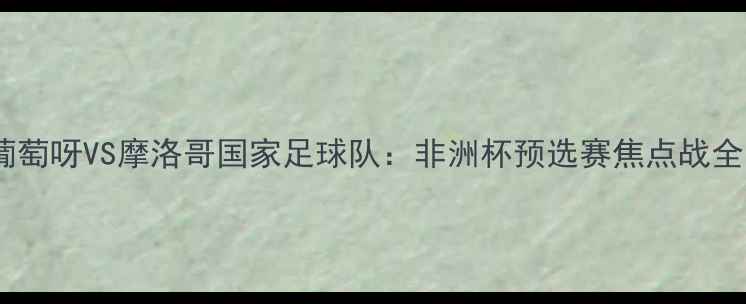 图片 葡萄呀VS摩洛哥国家足球队：非洲杯预选赛焦点战全1