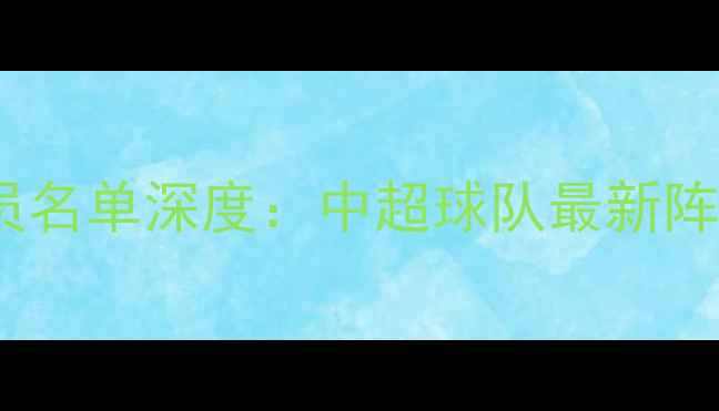 图片 西悉尼流浪者赛季球员名单深度：中超球队最新阵容及战术布局全公开1