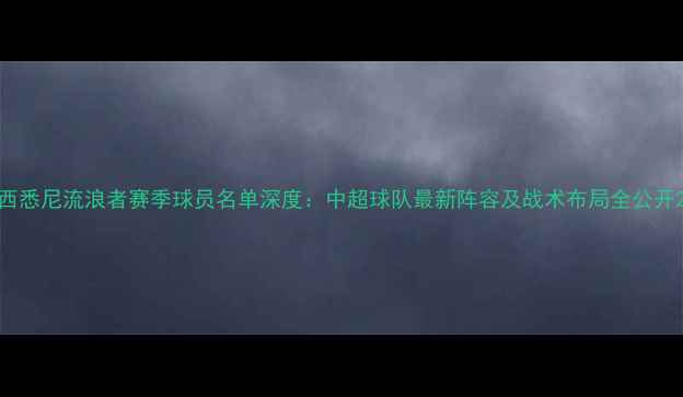 图片 西悉尼流浪者赛季球员名单深度：中超球队最新阵容及战术布局全公开2