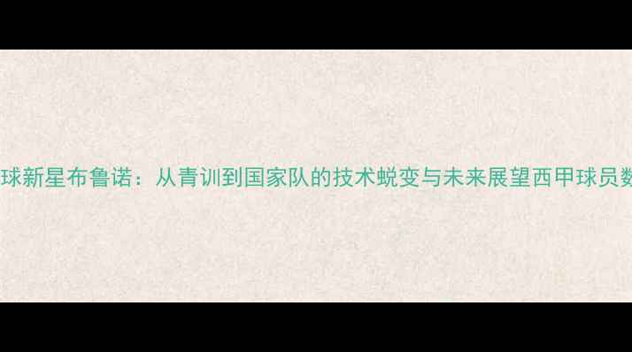 图片 西班牙足球新星布鲁诺：从青训到国家队的技术蜕变与未来展望西甲球员数据分析1