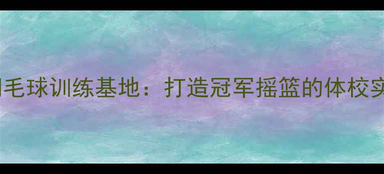 图片 西青区青少年羽毛球训练基地：打造冠军摇篮的体校实践与教学成果2