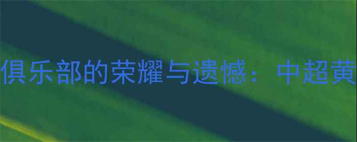 图片 赛季天津泰达足球俱乐部的荣耀与遗憾：中超黄金时代的经典复盘