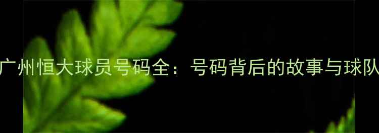 图片 赛季广州恒大球员号码全：号码背后的故事与球队战略