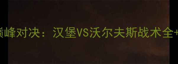 图片 赛季德甲巅峰对决：汉堡VS沃尔夫斯战术全+高清战报1