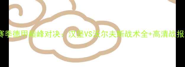 图片 赛季德甲巅峰对决：汉堡VS沃尔夫斯战术全+高清战报2