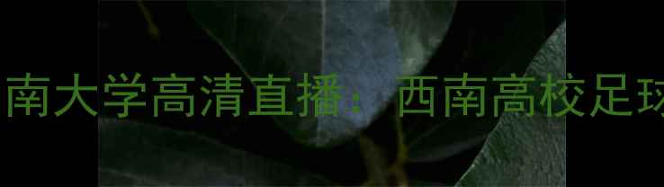 图片 赛季焦点战重庆文理学院vs中南大学高清直播：西南高校足球巅峰对决战术与赛事全记录1