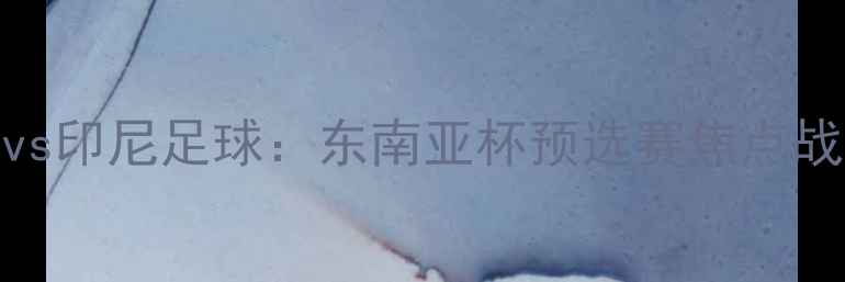 图片 越南vs印尼足球：东南亚杯预选赛焦点战前瞻