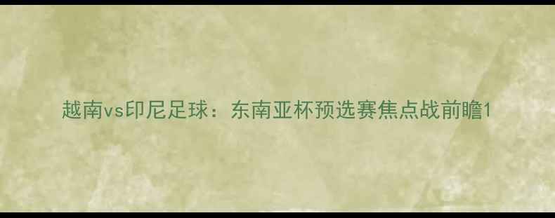 图片 越南vs印尼足球：东南亚杯预选赛焦点战前瞻1