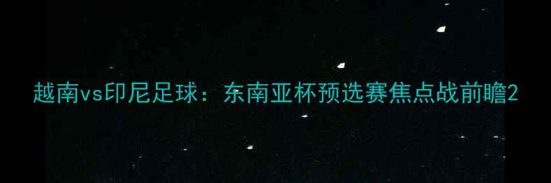 图片 越南vs印尼足球：东南亚杯预选赛焦点战前瞻2