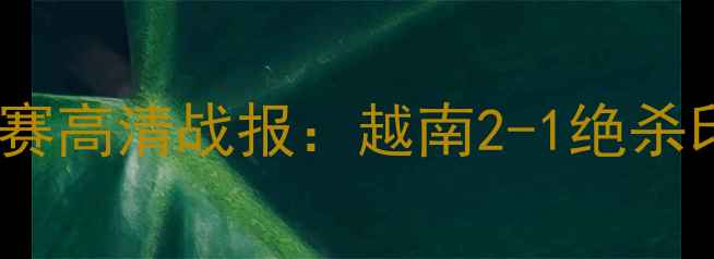 图片 越南vs印度亚洲杯预选赛高清战报：越南2-1绝杀印度，黄牌风波引热议1