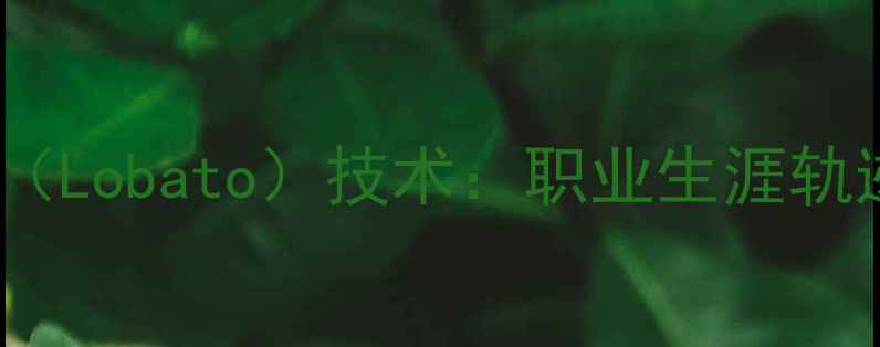 图片 足球新星洛巴托（Lobato）技术：职业生涯轨迹与数据统计全2