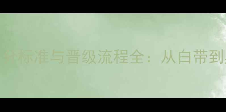 图片 跆拳道比赛段位划分标准与晋级流程全：从白带到黑带如何快速提升