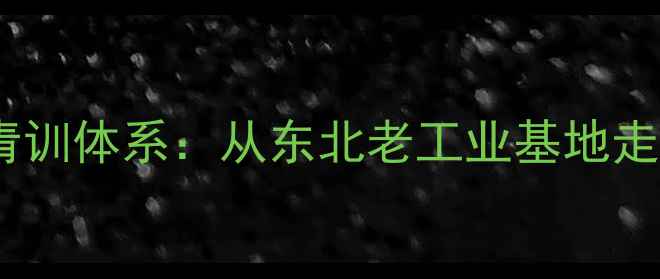 图片 辽宁乒乓球队青训体系：从东北老工业基地走出的国球尖兵2