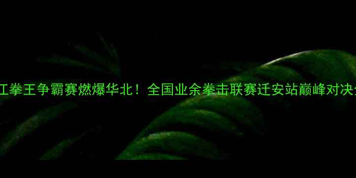 图片 迁安九江拳王争霸赛燃爆华北！全国业余拳击联赛迁安站巅峰对决全记录1