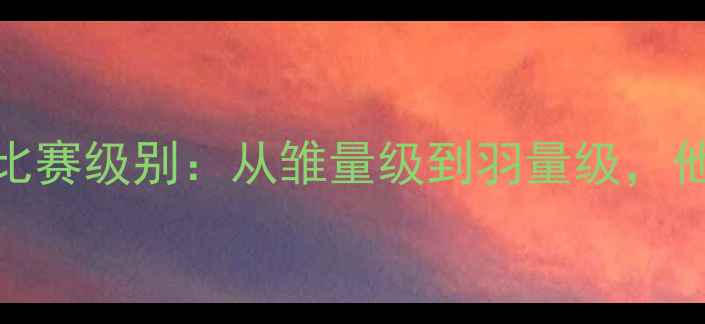 图片 邹市明职业拳击比赛级别：从雏量级到羽量级，他的世界冠军之路