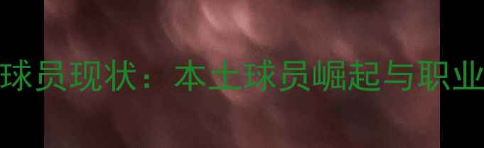 图片 郑州CBA球员现状：本土球员崛起与职业化挑战1