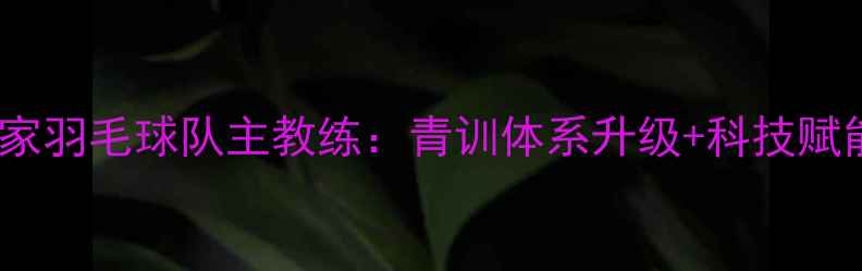 图片 重磅！李隼升任国家羽毛球队主教练：青训体系升级+科技赋能，国羽新战略！1