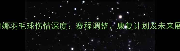 图片 金荷娜羽毛球伤情深度：赛程调整、康复计划及未来展望2