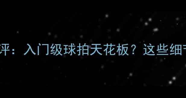 图片 银河乒乓球09测评：入门级球拍天花板？这些细节让你秒变大神1