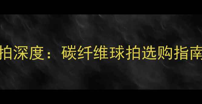图片 陈梦同款蝴蝶战拍深度：碳纤维球拍选购指南与实战性能评测