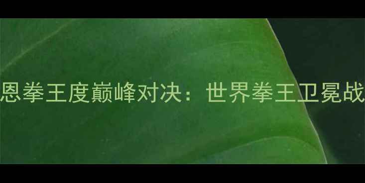 图片 霍恩拳王度巅峰对决：世界拳王卫冕战全