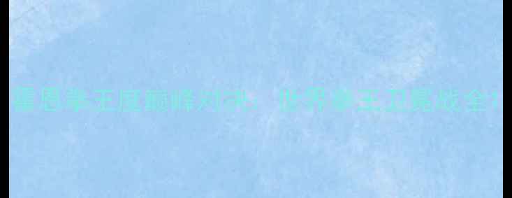 图片 霍恩拳王度巅峰对决：世界拳王卫冕战全1