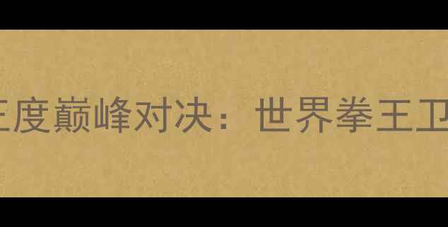 图片 霍恩拳王度巅峰对决：世界拳王卫冕战全2