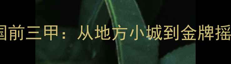 图片 鞍山乒乓球全国前三甲：从地方小城到金牌摇篮的崛起之路1