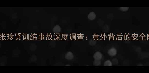 图片 韩国羽毛球名将张珍贤训练事故深度调查：意外背后的安全隐患与行业反思1