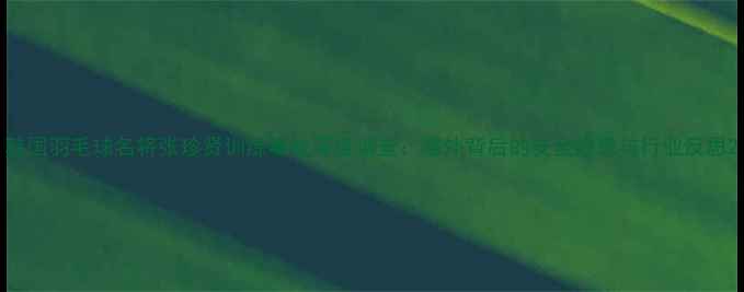 图片 韩国羽毛球名将张珍贤训练事故深度调查：意外背后的安全隐患与行业反思2