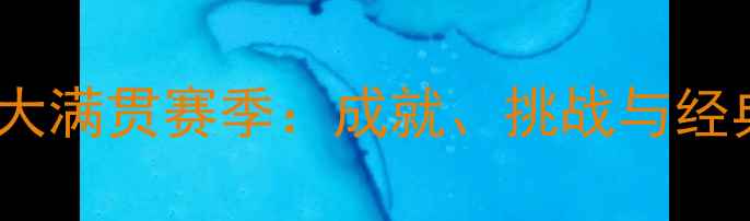 图片 马林网球大满贯赛季：成就、挑战与经典瞬间全1