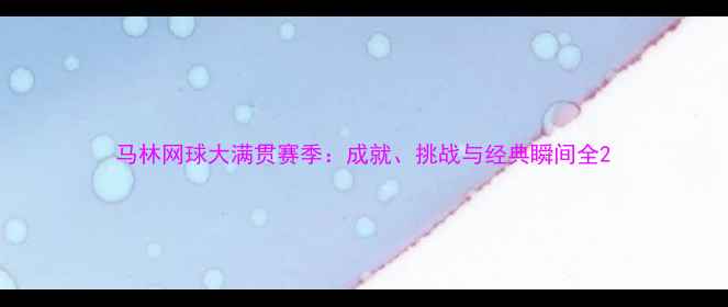 图片 马林网球大满贯赛季：成就、挑战与经典瞬间全2